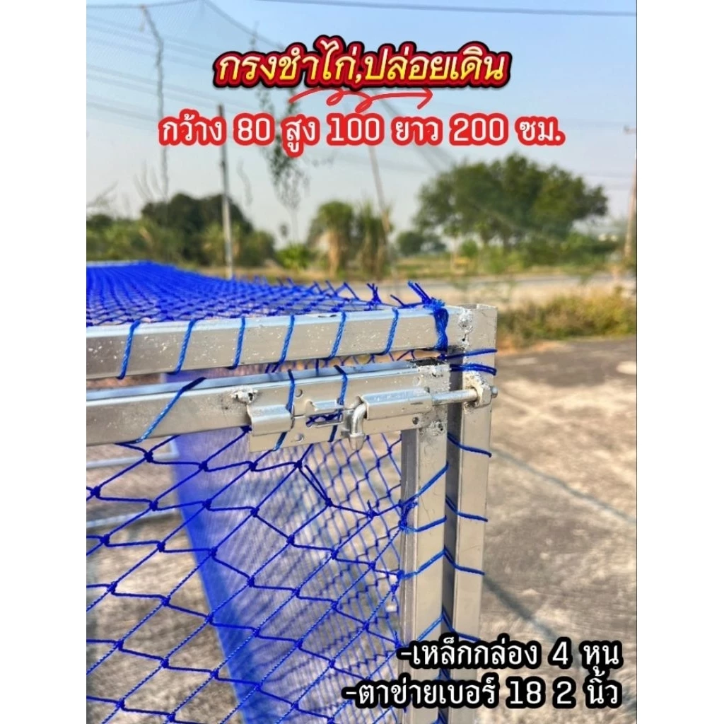(สินค้าเหล็กกล่อง)กรงชำไก่ชน,ปล่อยเดินได้ 80 * 100 * 200 cm thumbnail 10