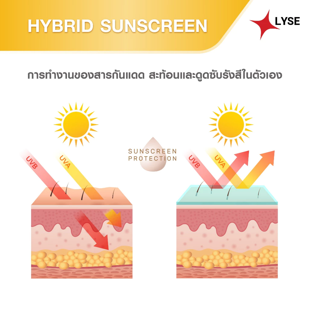 ( โปรหน้าเด้งรับสงกรานต์ 2 แถม 1 )ครีมฟิลเลอร์หน้าฉ่ำ + กันแดดไม่ง้อรองพื้น SPF 50 PA+++  + เซรั่มยกกระชับ 10 กรัม thumbnail 7