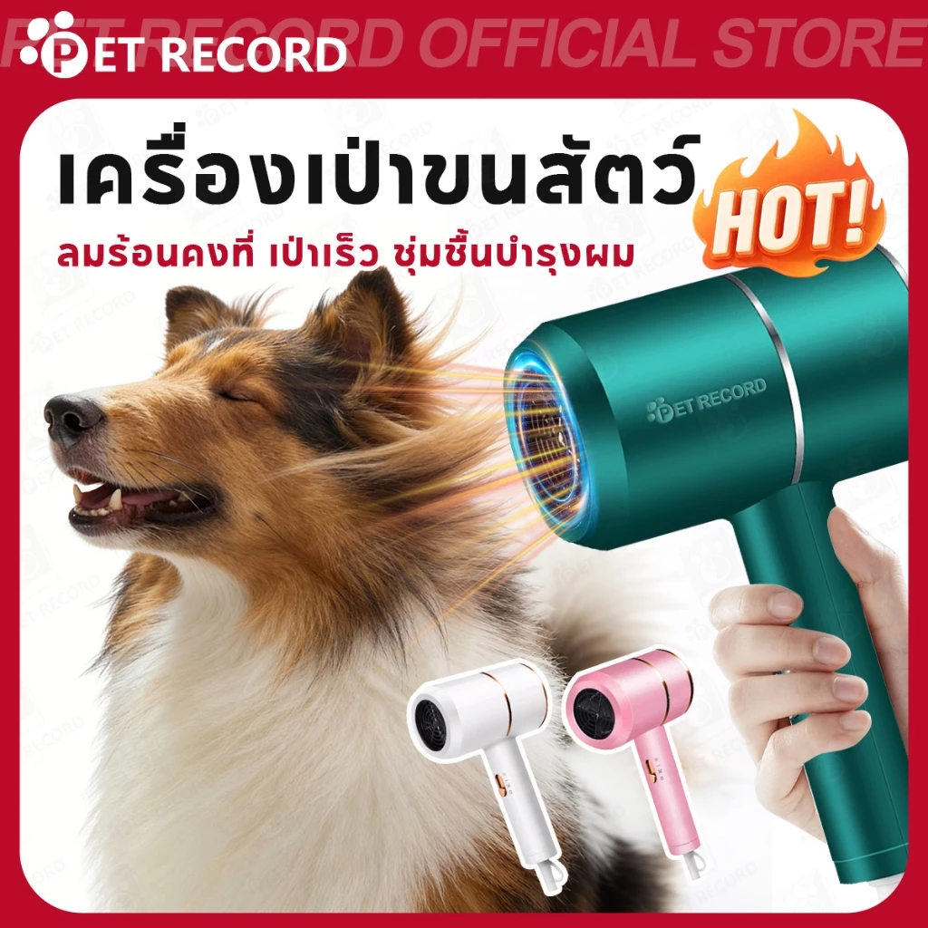 【PET RECORD】🔥เครื่องเป่าขนสัตว์เลี้ยง ไดร์เป่าขนสุนัขแมว สำหรับกรูมมิ่งลมแรงแห้งไวเสียงเบาใช้งานง่าย