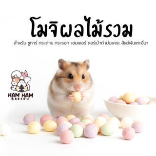 (Ham Ham Bakery) โมจิผลไม้รวมรส (กะปุกทดลอง) ขนมหนูเเฮมเตอร์…