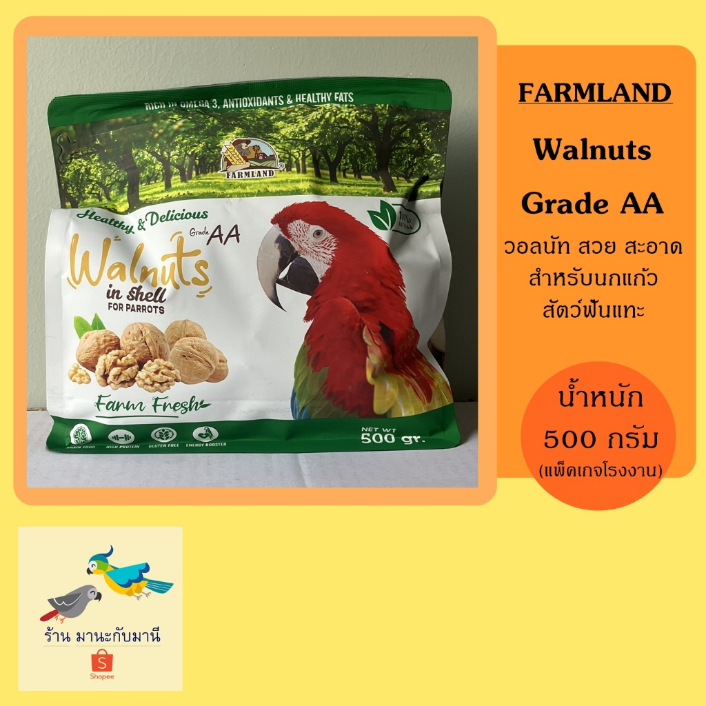 ถั่ววอลนัท Farmland Walnuts in shell ( 500 กรัม ) สำหรับนกแก้ว สัตว์ฟันแทะ