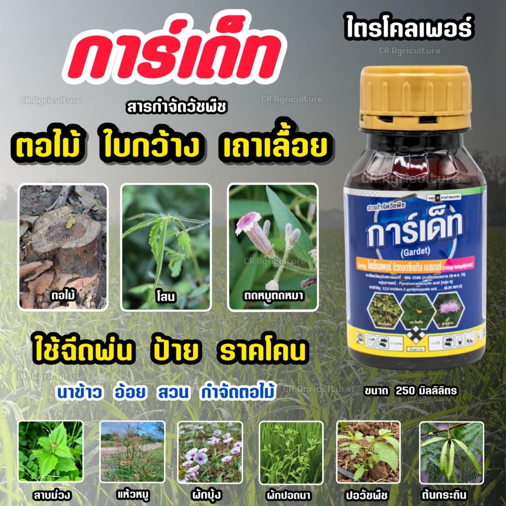 ยาฆ่าตอไม้ ยาฆ่าต้นไม้ กระถิน โสน การ์เด็ท ไตรโคลเพอร์ สารกำจัดวัชพืช ตอไม้ ใบกว้าง เครือเถา ขนาด 250 ซีซี