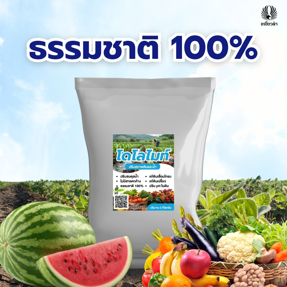 โดโลไมท์ผง 2กก. สารปรับสภาพดินจากธรรมชาติ 100% ฟื้นฟูดิน ปรับ pH ดิน บำรุงราก ป้องกันแมลง ตราเหยี่ยวดำ ราคา ถูกที่สุด ดีลบีเคเค แกลเลอรีภาพที่ 8