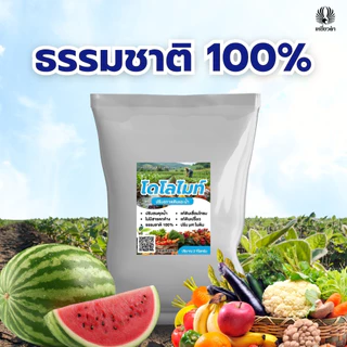โดโลไมท์ผง 1ถุง ขนาด 2 กก. สารปรับสภาพดิน สารปรับสภาพดน้ำ ปรับ pH ดินและน้ำ บำรุงราก ตราเหยี่ยวดำ
