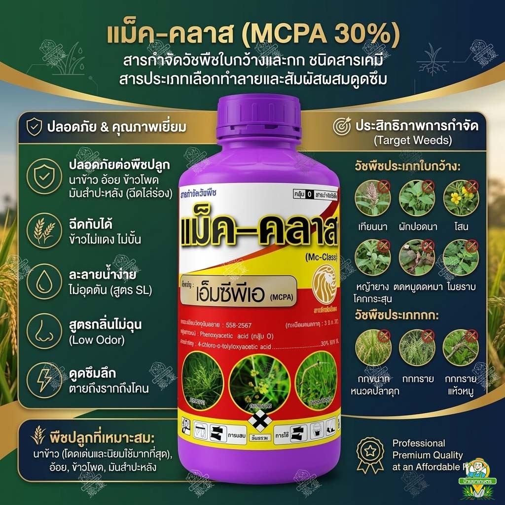 เอ็มซีพีเอ 30% SL แม็ค-คลาส 1 ลิตร MCPA กำจัดหญ้า ใบกว้าง กก หนวดปลาดุก แห้วหมู ใช้แบบ เอโซ่