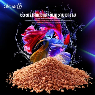 อาหารปลากัด Okiko betta bright อาหารปลาพรีเมียม สูตรเร่งสี Super bright ขนาด 20 กรัม