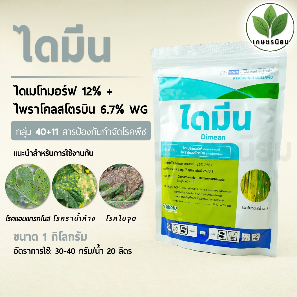 ไดมีน (ไดเมโทมอร์ฟ 12% + ไพราโคลสโตรบิน 6.7% WG) 1 กิโลกรัม