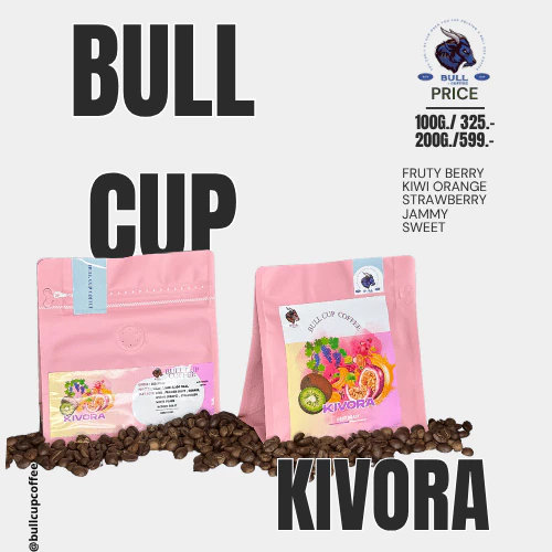 เมล็ดกาแฟคั่วอ่อน KIVORA (หมักยีสกลิ่นกีวี่และเสาวรส KIWI,Passion Fruit) Colombia Specialty Coffee