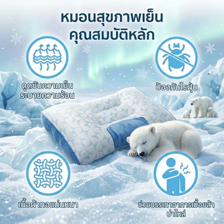 MIDORI Home ICE PILLOW หมอนสุขภาพเย็น 40x70 ซม (เย็นทั้ง 2 ด้าน)