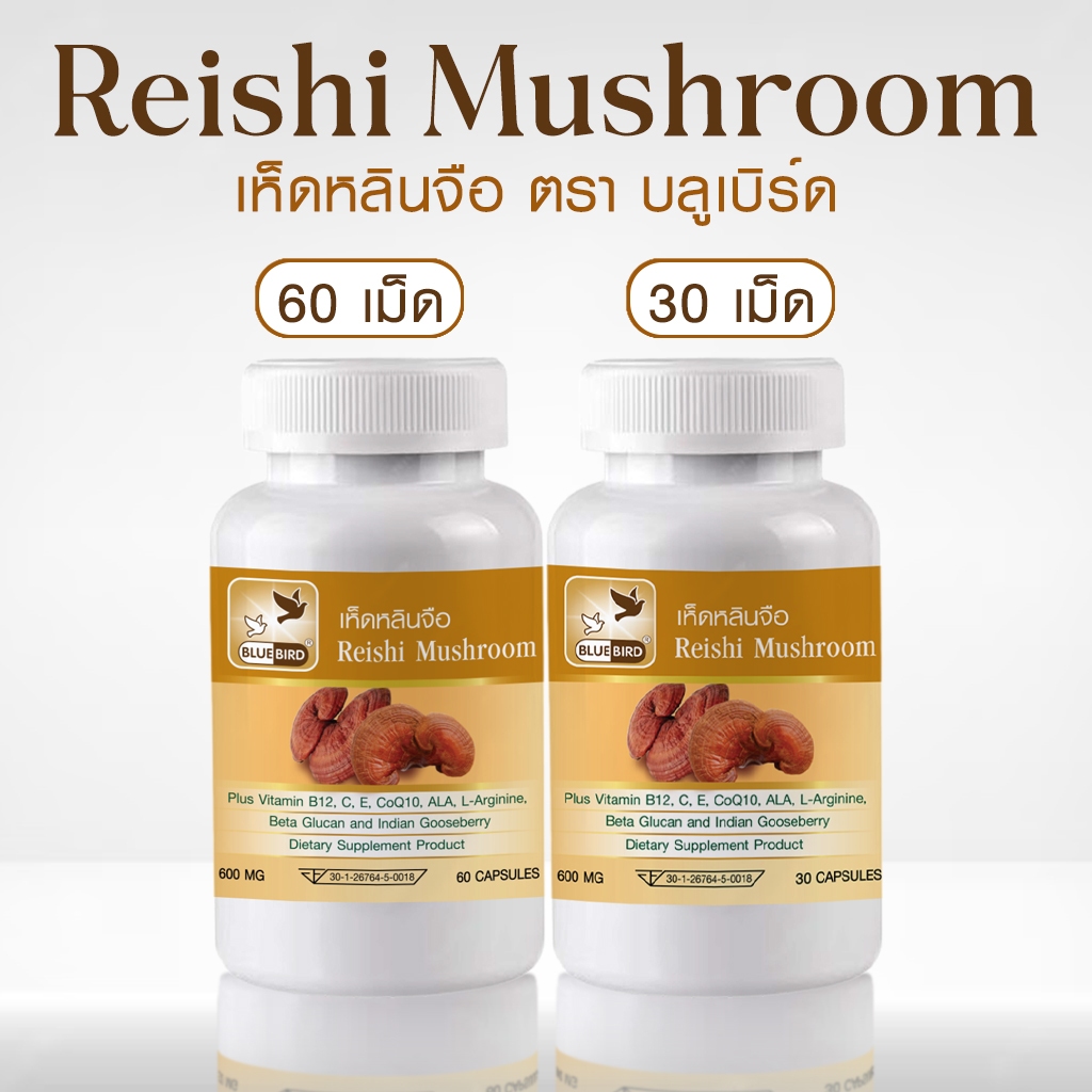 เห็ดหลินจือ Reishi Mushroom ตรา บลูเบิร์ด ขนาด 600 มิลลิกรัม 30,60 แคปซูล
