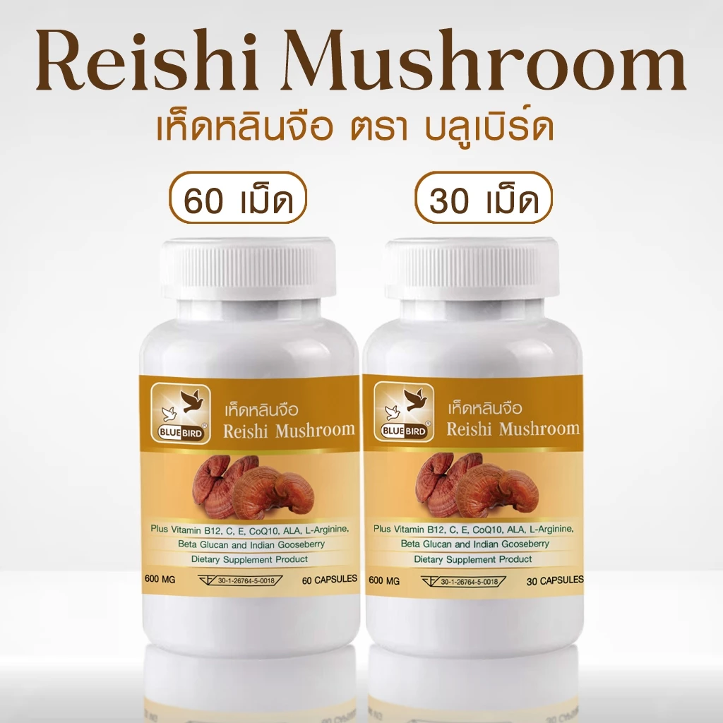 เห็ดหลินจือ Reishi Mushroom ตรา บลูเบิร์ด ขนาด 600 มิลลิกรัม 30,60 แคปซูล