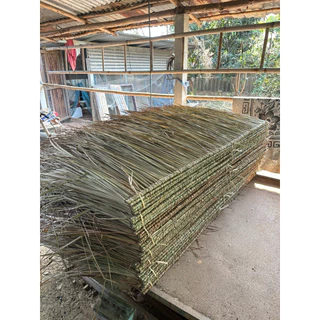 หญ้าคา มุงหลังคา หญ้าคาตับหญ้าคามุงหลังคาความยาว155 กว้าง40,-50cm มุงฟาร์มไก่ ฟาร์มเห็ด หรือรีสอร์ท แต่งคาเฟ่