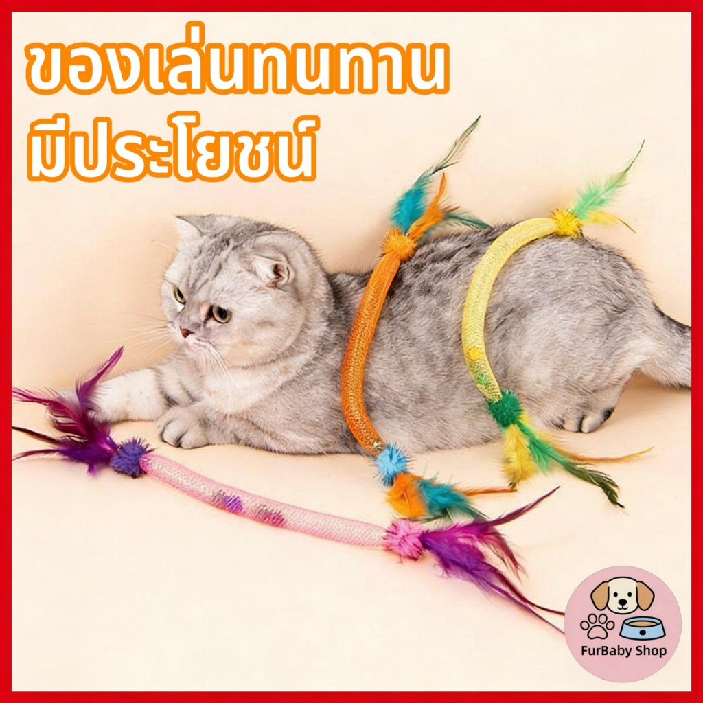 【FurBaby】 พร้อมส่ง COD ไม้ตกแมวแขวนประตู เชือกยืด ของเล่นแมวเล่นเองได้ มีกัญชาแมว กระดิ่ง ขนนกแท้ ทนต่อการกัด ทน