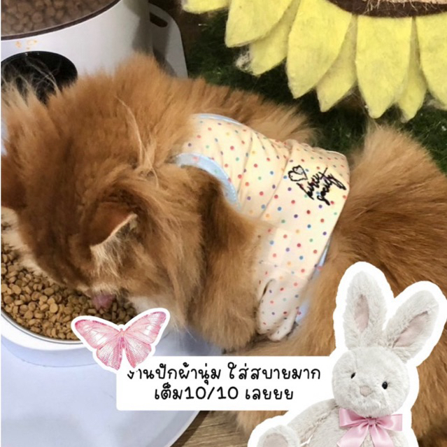 KIREI SOCIETY เสื้อปักสำหรับน้องแมวมีครบ size รูปที่ 5