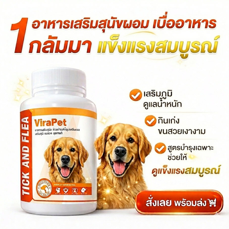 อาหารเสริมสุนัขผอม เบื่ออาหาร น้ำหนักน้อย ViraPet เสริมภูมิ บำรุงสุนัข ขนสวย Beta Glucan+Lysine 50g