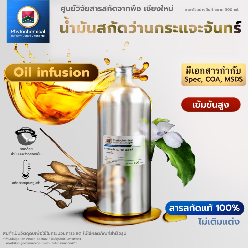 น้ำมันว่านกระแจะจันทร์(Oil infusion) Kaemferia sp. infusion | สารสกัดจากพืช สารสกัดสมุนไพร 100% | เข้มข้นสูง 25-100 ml.