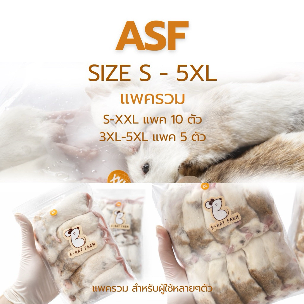 หนูแช่แข็ง ASF 🐭Size S-5XL แพครวม | E-Rat Farm อาหารงูขายมานาน7 ปี