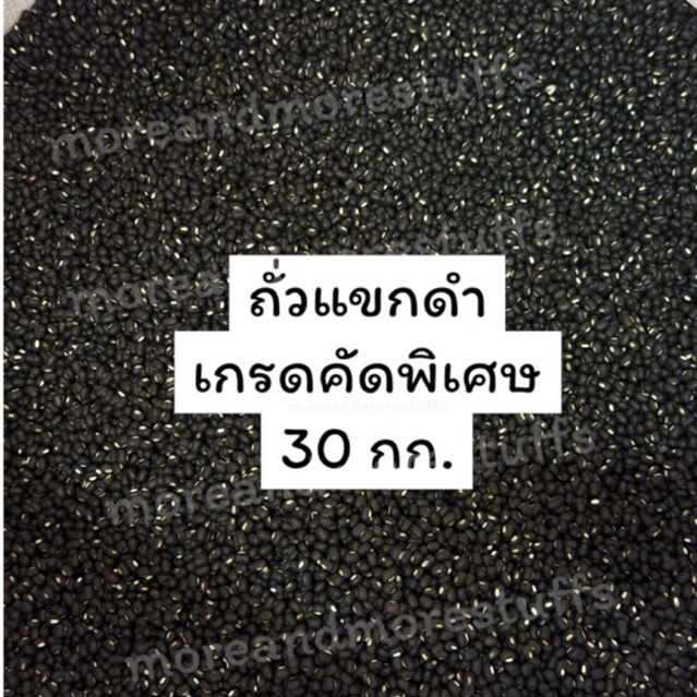 ถั่วแขกดำ คัดพิเศษ ถั่วแขกดำเพาะงอก (30 กิโลกรัม)