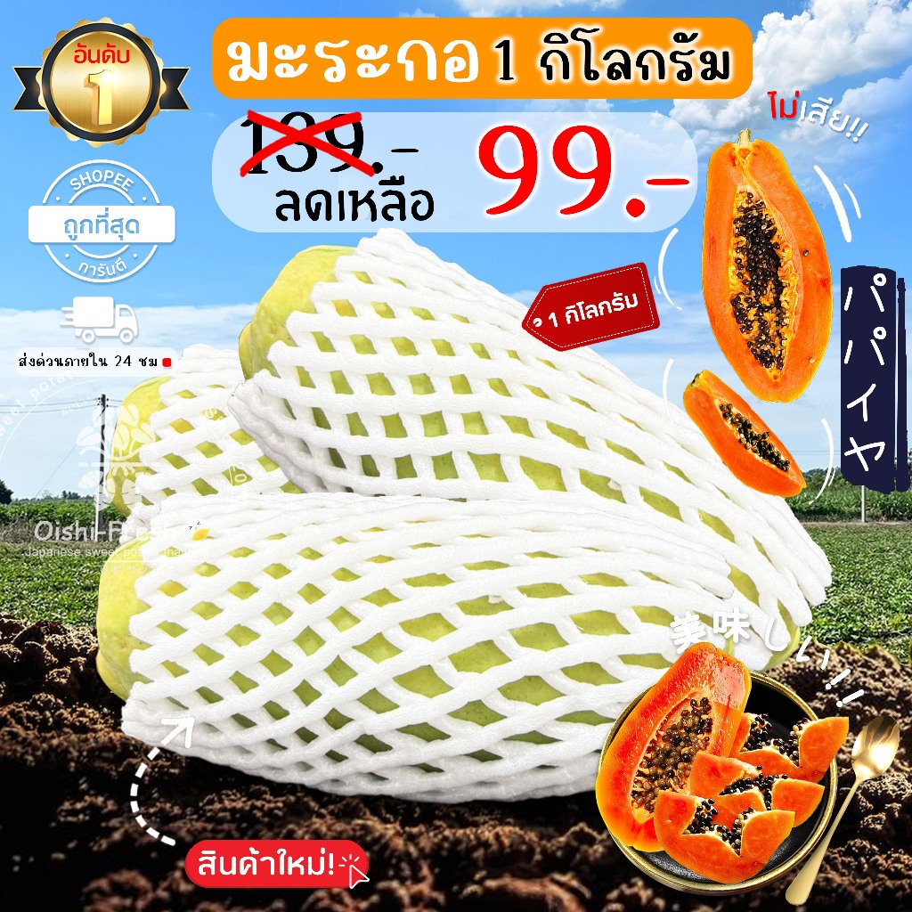 🇹🇭Oishi-fresh🥭มะละกอฮอลแลนด์ สุกคาต้น คัดพิเศษ ปลอดสารพิษ รสชาติหวาน หอม สด ใหม่ ใยอาหารสูง หวานออร์แกนิค