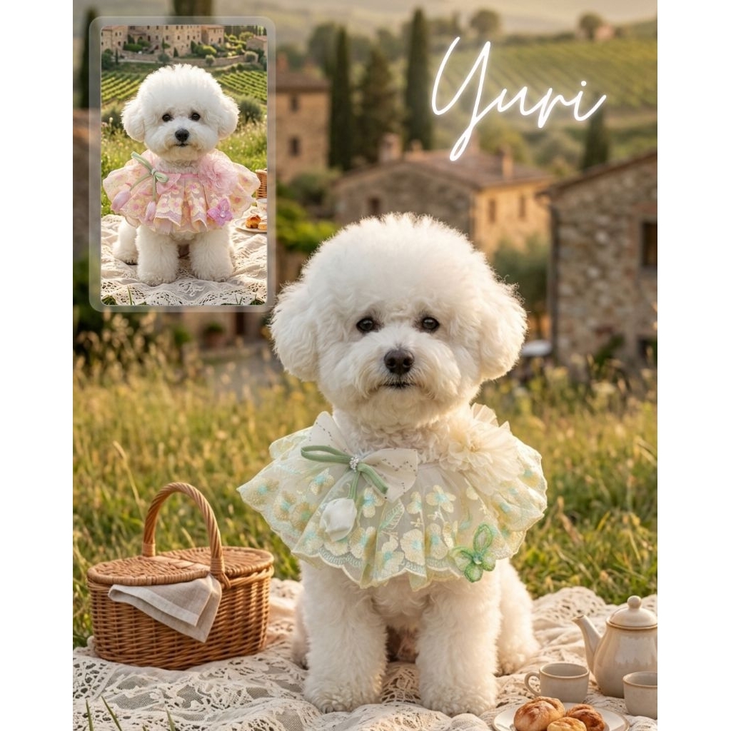 Fairy Tail (PET) | Yuri ผ้าคลุมซัมเมอร์