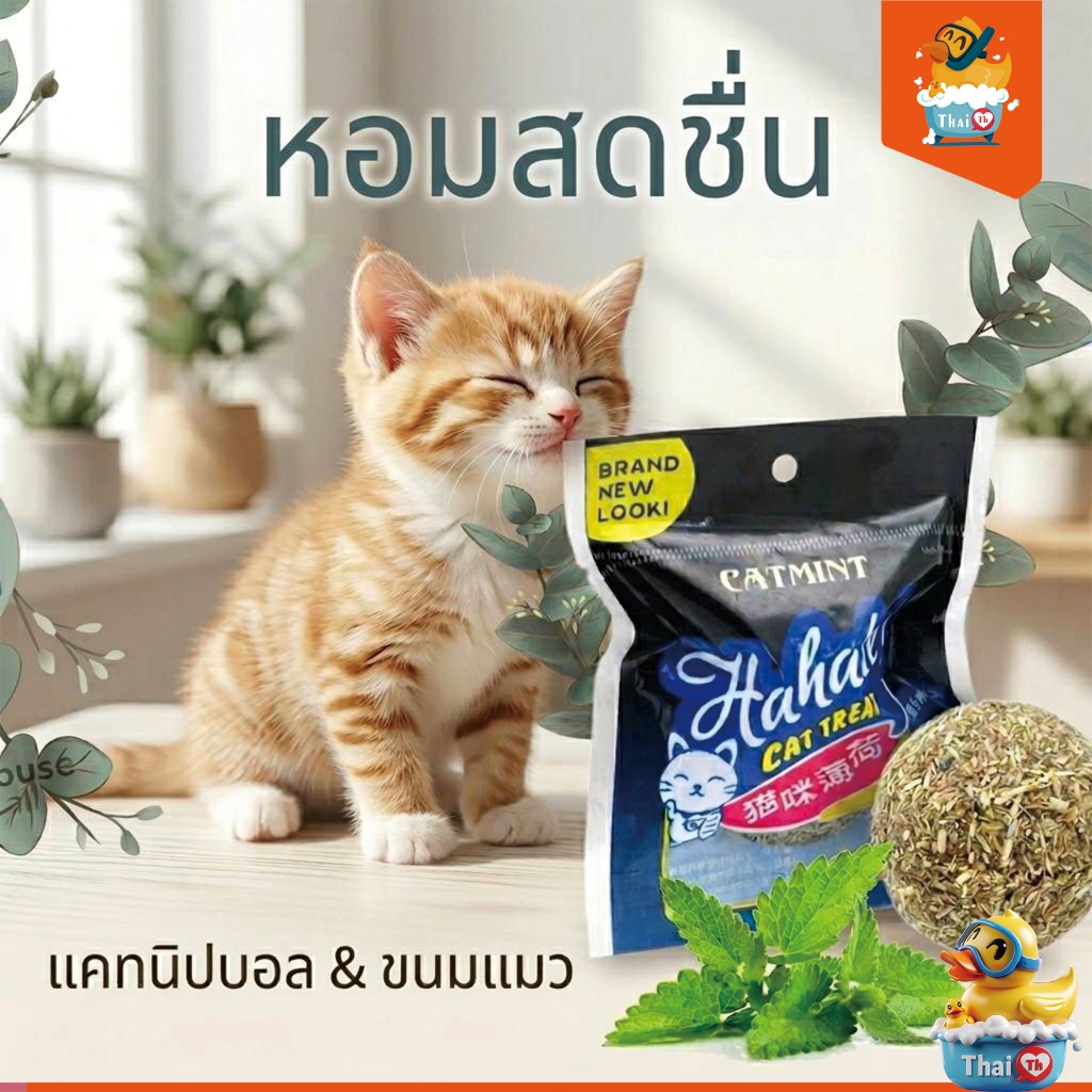 ฺThai.th CatMint แคทนิป กัญชาแมว XJ88(มีราคาส่ง)