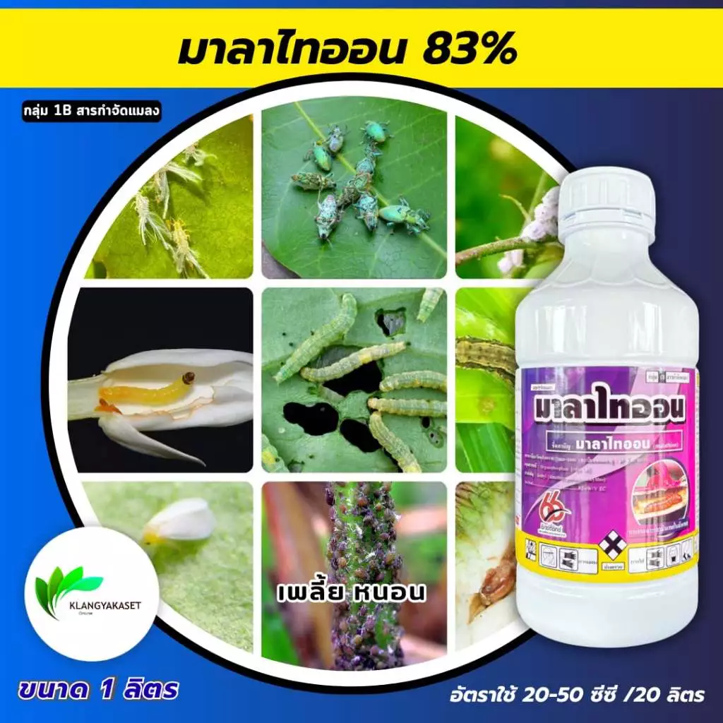 มาลาไทออน ดีที 1 ลิตร กำจัดแมลง เพลี้ยไฟ เพลี้ยต่างๆ หนอนเจาะ หนอนต่างๆ สามารถกำจัดไร เรือด แมงมุม แมลงสาป ตัวสามง่าม