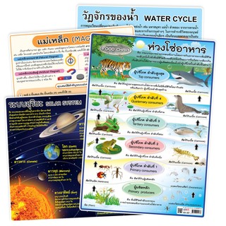 OST โปสเตอร์ความรู้ สื่อการเรียนการสอน ขนาด A4 ชุดความรู้ทางวิทยาศาสตร์
