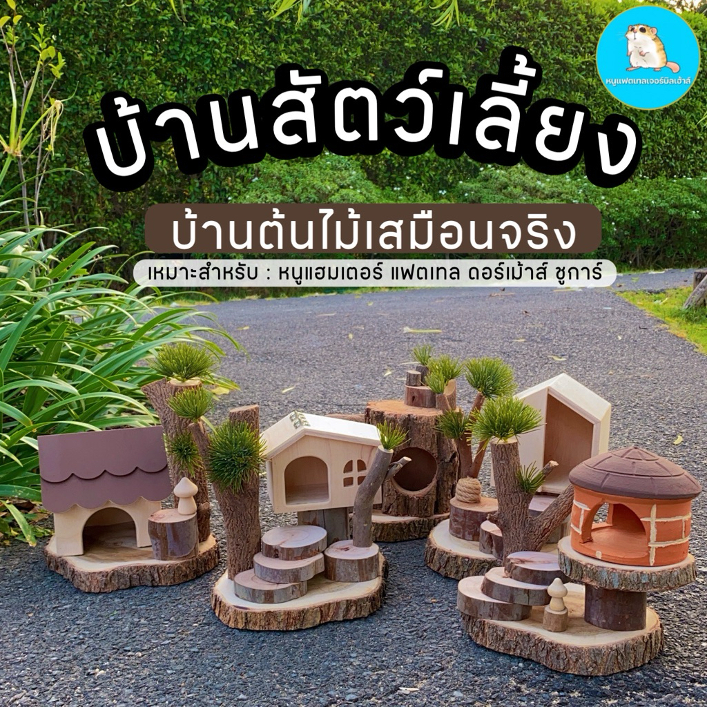 บ้านไม้สัตว์เลี้ยง หนู ชูการ์ กระรอก ดอร์เม้าส์ / บ้านไม้เสมือนต้นไม้จริง ดูเป็นธรรมชาติ / บ้านต้นไม้ บ้านหนูแฮมเตอร์