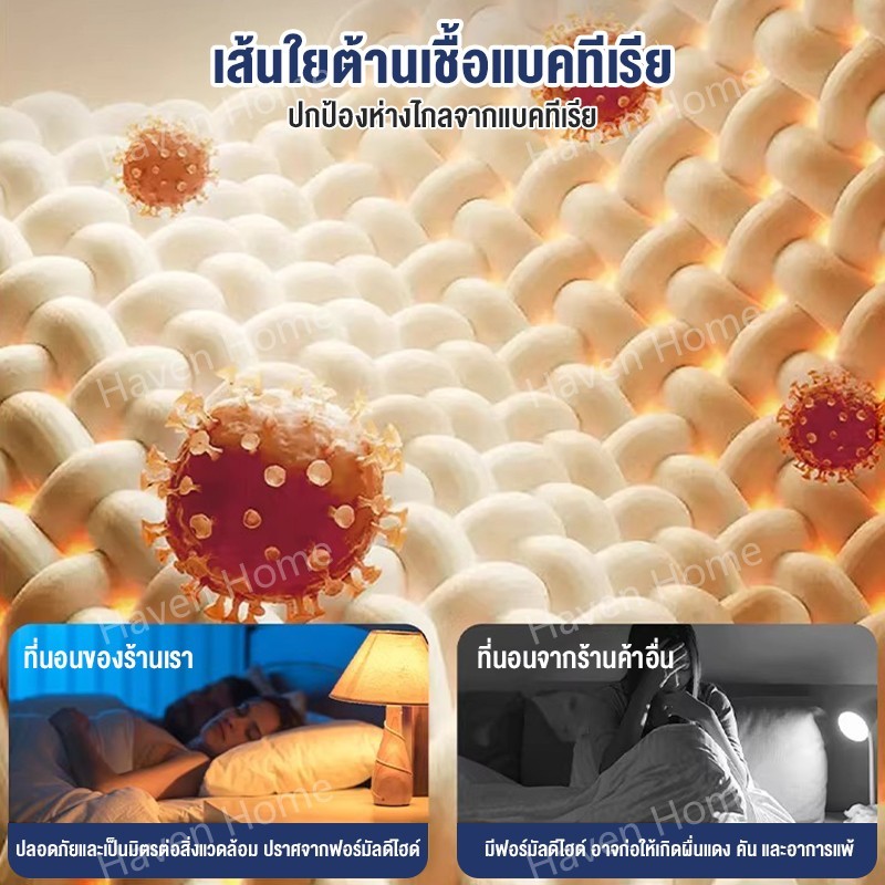ที่นอนยางพารา 100% ที่นอน กันหลังโกง บรรจุสูญญากาศ พับเก็บได้ แก้ปวดหลัง นุ่มเด้งไม่ยุบ ราคา ถูกที่สุด ดีลบีเคเค แกลเลอรีภาพที่ 7