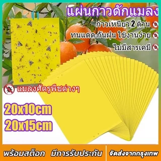 100 ชิ้น แผ่นสติกเกอร์ดักจับแมลง สองด้าน สําหรับกันยุง พืชในสวน ดักแมลงศัตรูพืช กาวดักแมลงวันทอง
