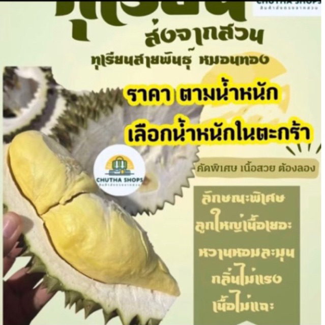 นน. 1.5-2 kg. ทุเรียนหมอนทองจันทบุรีพร้อมส่ง