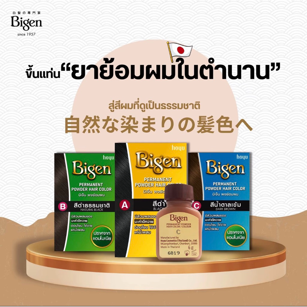 Bigen Permanent Powder Hair Color บีเง็น ผง ย้อมผม 6 กรัม