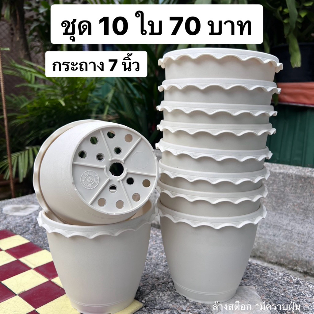 กระถางพลาสติกสีขาว กระถางต้นไม้ 7 นิ้ว ชุด10ใบ