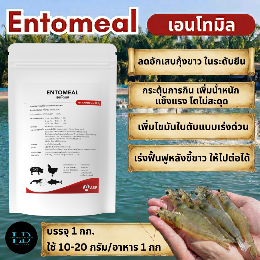 เอนโตมิล ENTOMEAL ลดอักเสบในกุ้ง ฟื้นฟูตับ เพิ่มการกินอาหาร เพิ่มน้ำหนักกุ้งและเพิ่มไขมันในตับกุ้งได้ใน 10 วัน