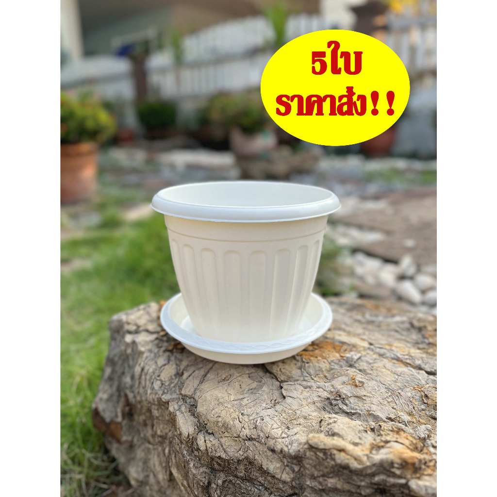 กระถางโรมัน กระถางพลาสติก กระถางมินิมอล ขนาด6นิ้ว 9นิ้ว เซต5ใบ ราคาส่ง