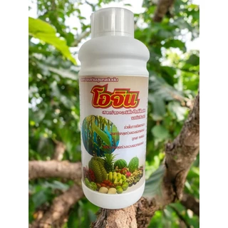 สาหร่ายอะมิโน🌟โอจิน🌱🌟+ จิ๊บ+ไซโตไคนิน สูตรเข้มข้น ช่วยการเปิดตาดอกติดผล ลดการหลุดร่วงของดอกและผล ช่วยฟื้นต้น 1
