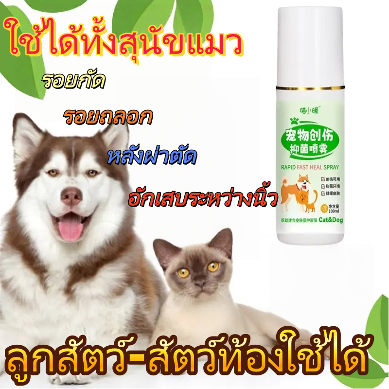 สเปรย์สมานแผลสำหรับสัตว์เลี้ยง สารต้านอนุมูลอิสระปลอบปร สเปรย์นาโน แผลแห้งไว สมานแผลไว ฆ่าเชื้อแบคทีเรีย สำหรับสุนัข แมว ราคา ถูกที่สุด ดีลบีเคเค