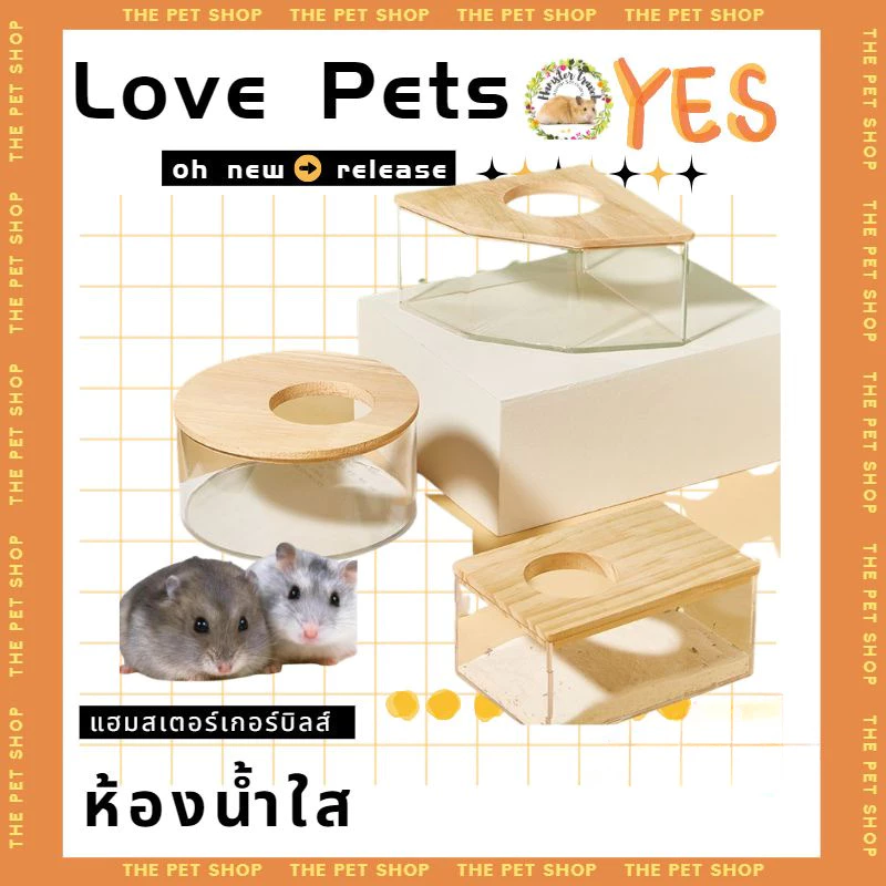 [hamster travel]หนูแฮมสเตอร์อาบน้ำอ่างทรายอุปกรณ์ครบครันห้องอาบน้ํา คริลิค เต็มโปร่งใสหมีสีทองขนาดใหญ่ห้องน้ําอาบน้ํา