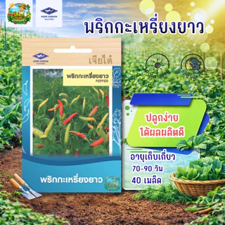 รวมผักเจียไต๋ (ชุดที่2)ผักซองเจียไต๋ มีให้เลือกมากว่า 45 ชนิด เมล็ดพันธุ์