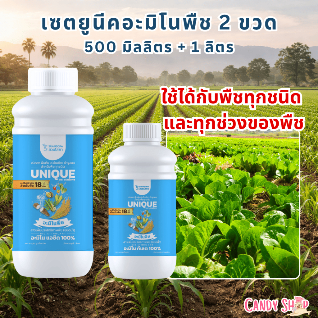 สวนโสภา อะมิโนคีเลต สูตรอินทรีย์ออแกนิค100%  เซต 1 ลิตร + 500 มิลลิตร ช่วยให้พืชเจริญเติบโตได้ดี เร่งราก ใช้ได้ทุกช่วง