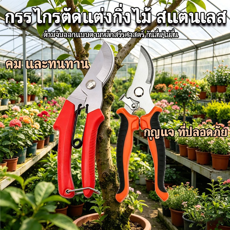 กรรไกรตัดแต่งกิ่งไม้ สแตนเลส คมชัด ทนทาน ประหยัดแรง ด้ามกันลื่น ใช้ตัดกิ่งไม้ พุ่มไม้ ดอกไม้ได้
