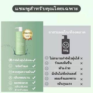 🔥 ส่งฟรี แชมพูกรดอะมิโนผสมเกลือทะเล 500ml | ขจัดรังแค คุมมัน ทำความสะอาดล้ำลึก ผมนุ่มฟู ชุ่มชื้น ✨