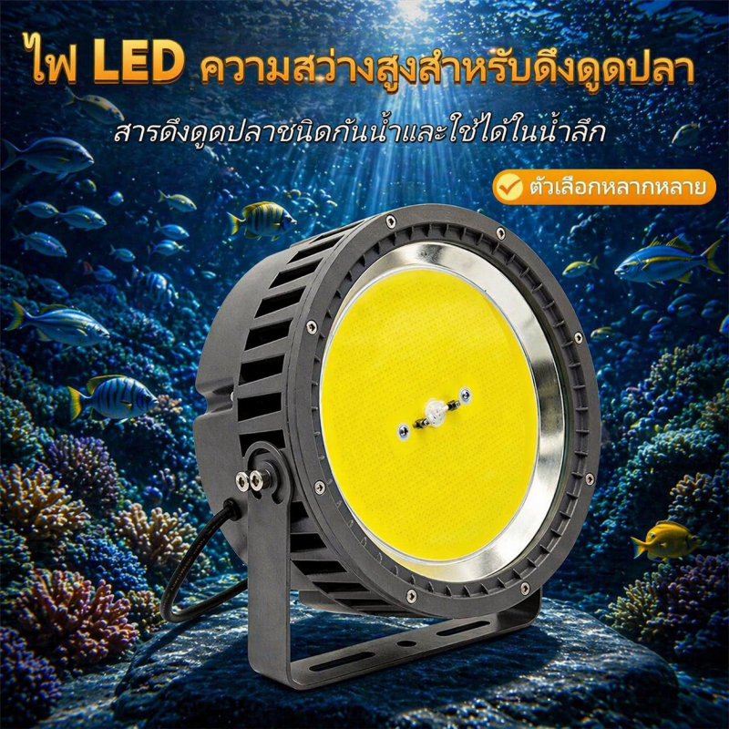ของดีต้องลอง! ไฟล่อหมึก LED 1000W คุณภาพสูง แสงฟ้าครามสว่างคมชัด ใช้งานง่าย ปลอดภัย มีระบบกันไฟกระชากในตัว รับประกัน