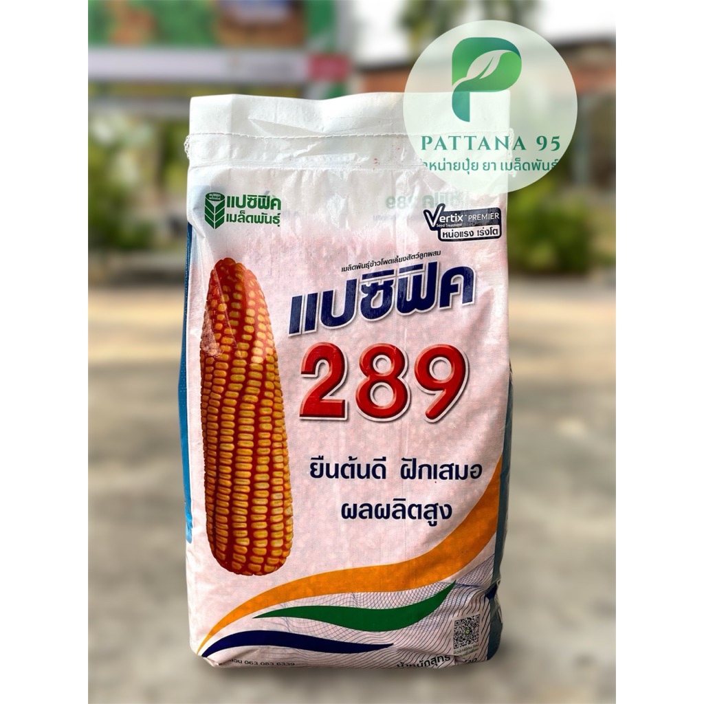 เมล็ดพันธุ์ข้าวโพด แปซิฟิค 289 (3.5 หุน) *ขนาด 10 กก. ยืนต้นดี ฝักเสมอ ผลผลิตสูง