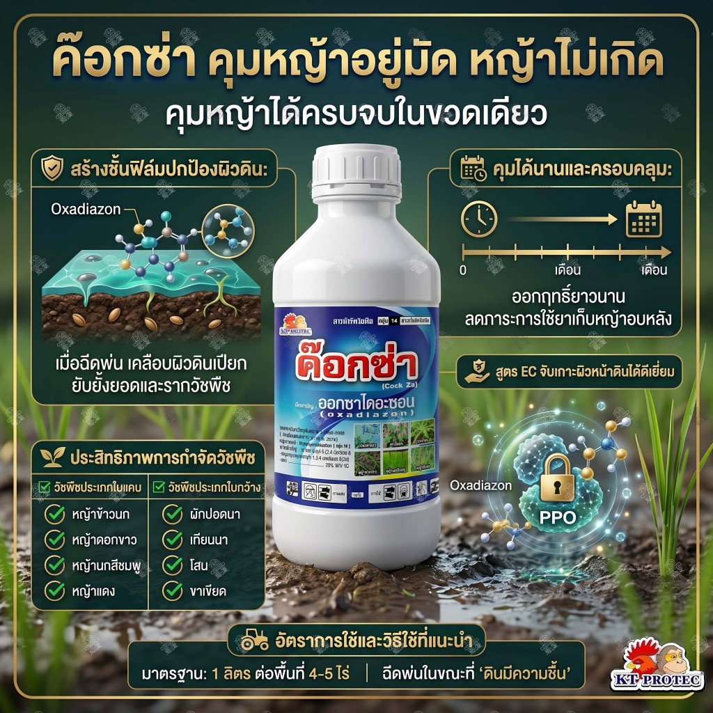 ค๊อกซ่า ขนาด 1 ลิตร ออกซาไดอะซอน 25% EC ใช้แบบ รอนสตาร์ คุมหญ้าวัชพืชทุกชนิด คุมหญ้านาหว่านข้าวแห้ง