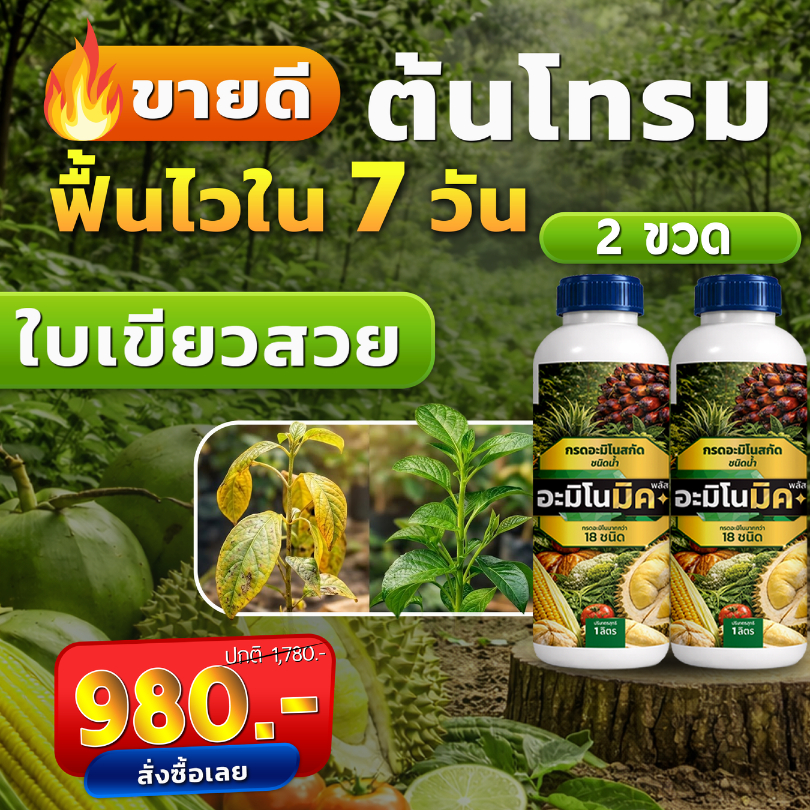 อะมิโนมิคพลัสตราเทพมงคล ขวด 1L แพ็ค 2 ขวด อาหารเสริมพืชทางใบชนิดน้ำ เร่งบำรุงพืชทุกชนิด สูตรออแกนิก