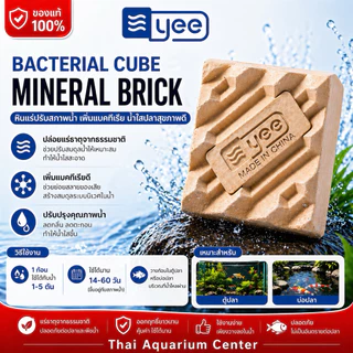 YEE Bacterial Cube Mineral Brick หินแร่แบคทีเรีย ปรับสภาพน้ำ ลดของเสีย น้ำใส (500g / 1 ก้อน)