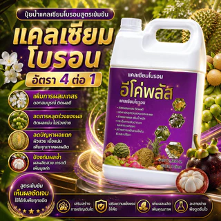 อีโค่พลัส แคลเซียมโบรอน เพิ่มการผสมเกสร ลดการหลุดร่วงของผล ลดปัญหาผลแตก ขนาด 4ลิตร