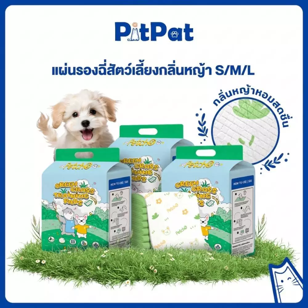 Pitpat (Petcho)แผ่นรองฉี่สัตว์เลี้ยง แผ่นซับฉี่หมา กลิ่นหญ้าสดชื่น ดูดซับไว ลดกลิ่น กันซึม ไม่รั่ว สำหรับฝึกขับถ่าย