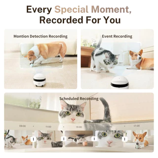 Enabot หุ่นยนต์กล้องอัจฉริยะ ROLA Mini FamilyBot ติดตามสัตว์เลี้ยงของคุณได้ทุกมุมในบ้าน